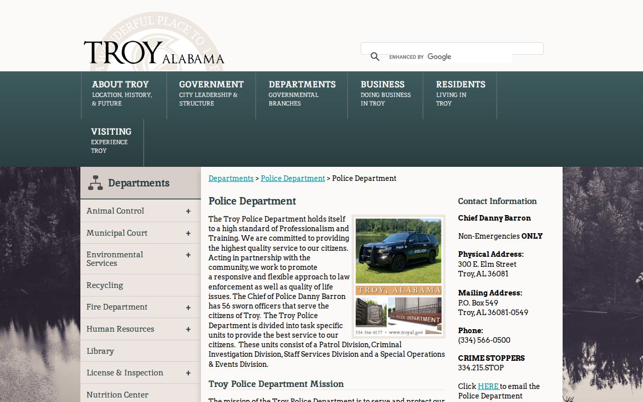 Troy criminal records information for Pike County on the police department page
